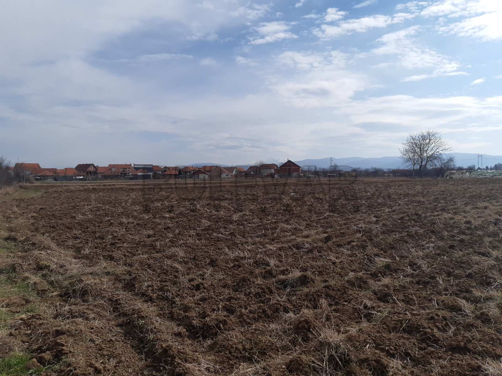 Plac, Palilula, Novo selo ID: p-05147 4