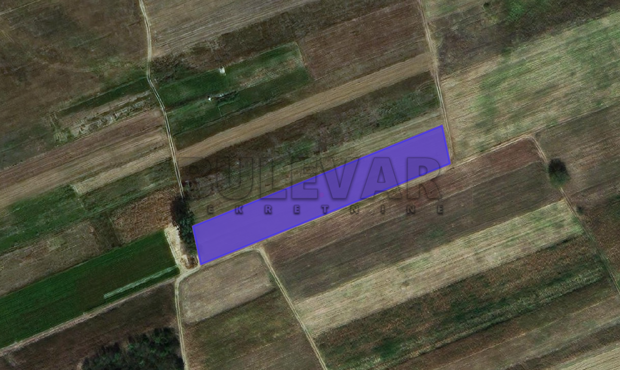 Plac, Palilula, Novo selo ID: p-07229 1