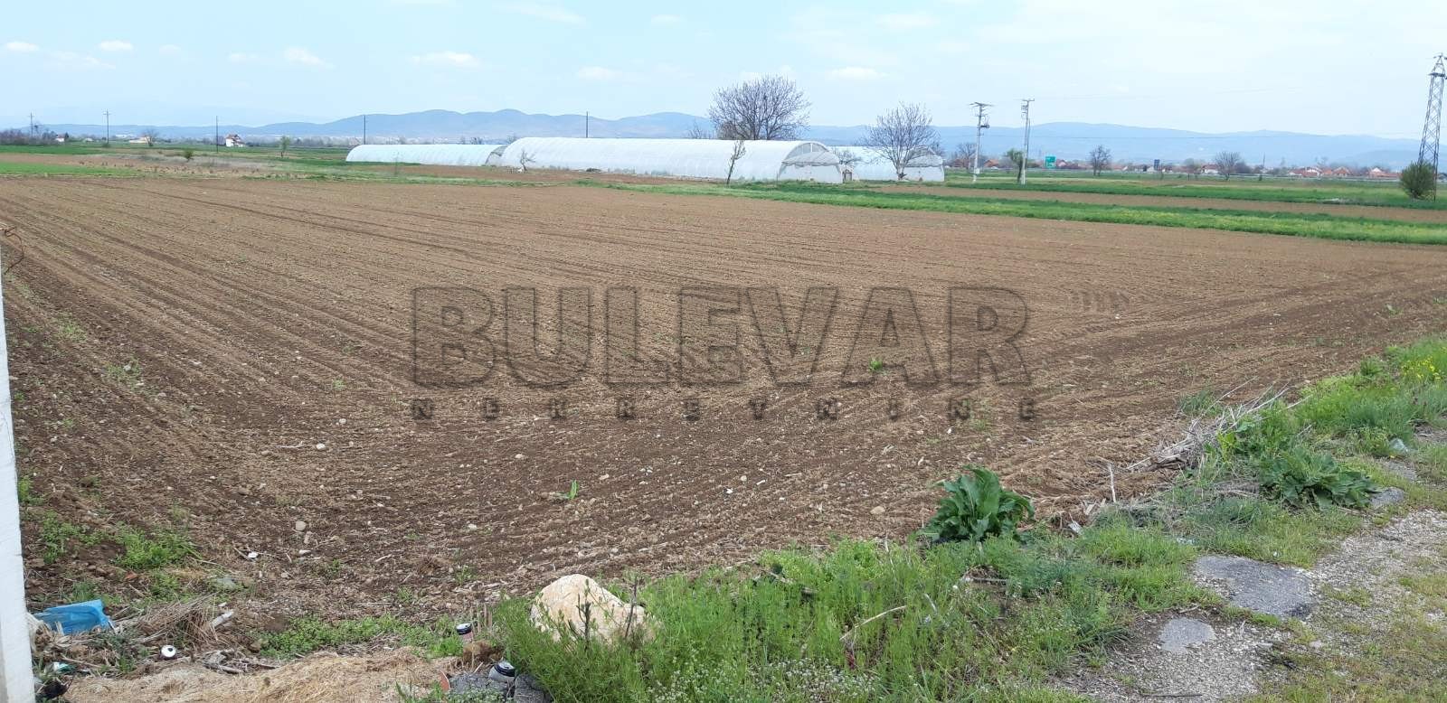 Plac, Palilula, Novo selo ID: p-07773 1