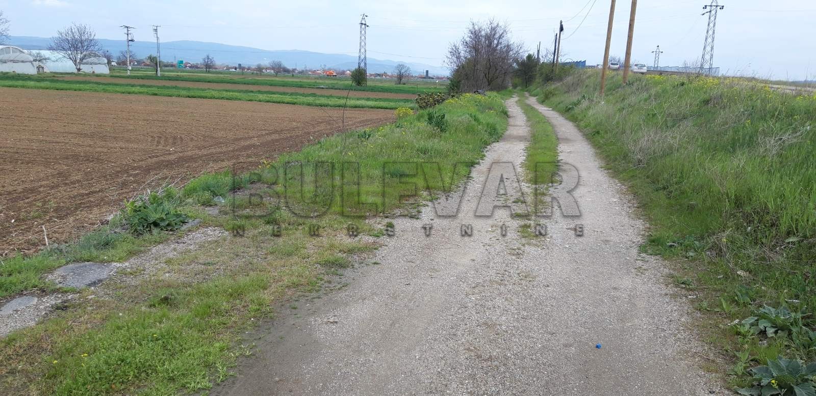 Plac, Palilula, Novo selo ID: p-07773 3