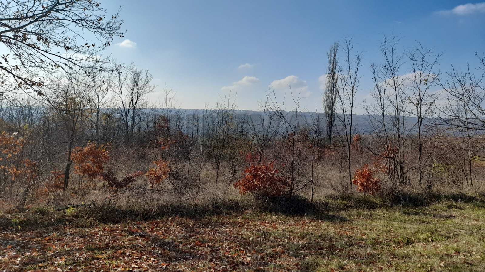 Plac, Petrovac, Internacionalnih brigada ID: p-04590 1