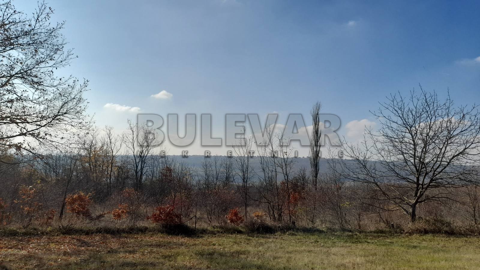 Plac, Petrovac, Internacionalnih brigada ID: p-04655 2