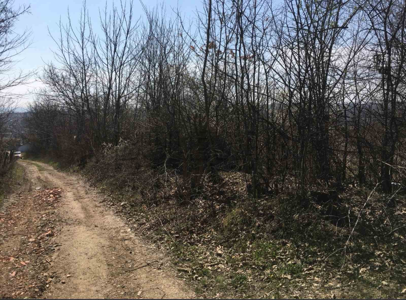 Plac, Petrovac, Internacionalnih brigada ID: p-04655 4