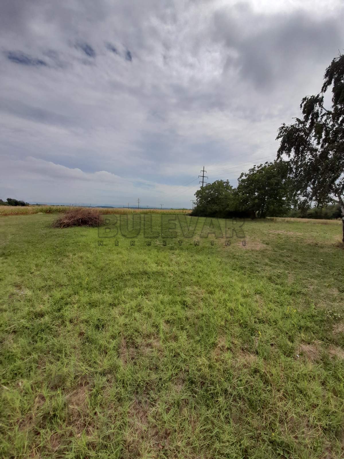 Plac, Petrovac, Vidovdanska ID: p-03954 5