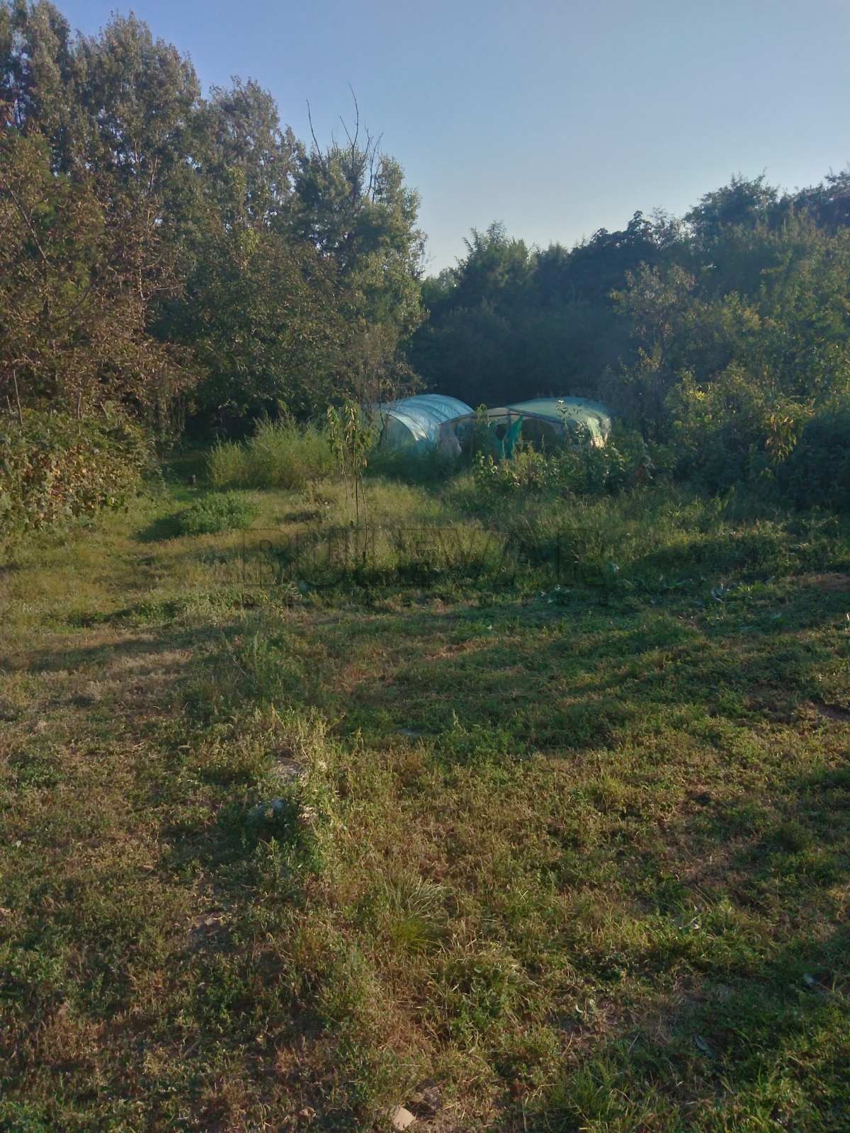 Plac, Popovac, Popovac ID: p-01631 2