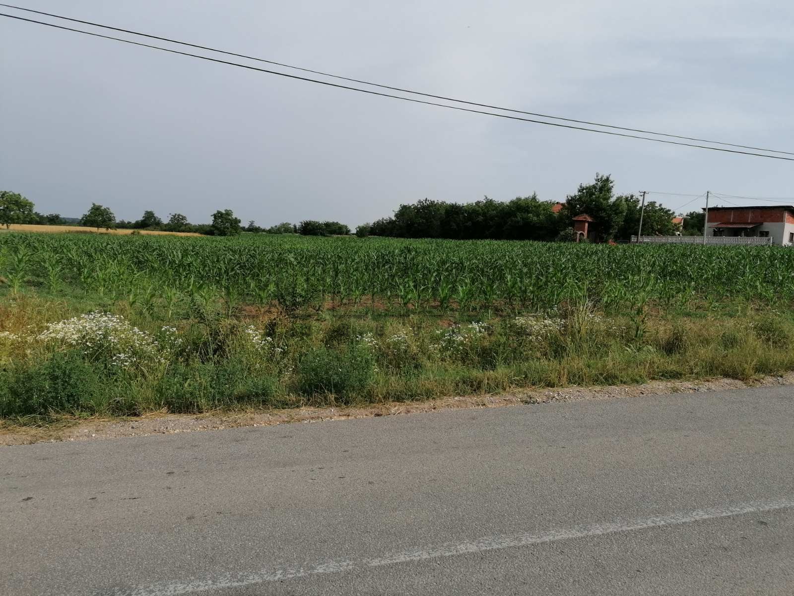 Plac, Rača ID: p-06709 2