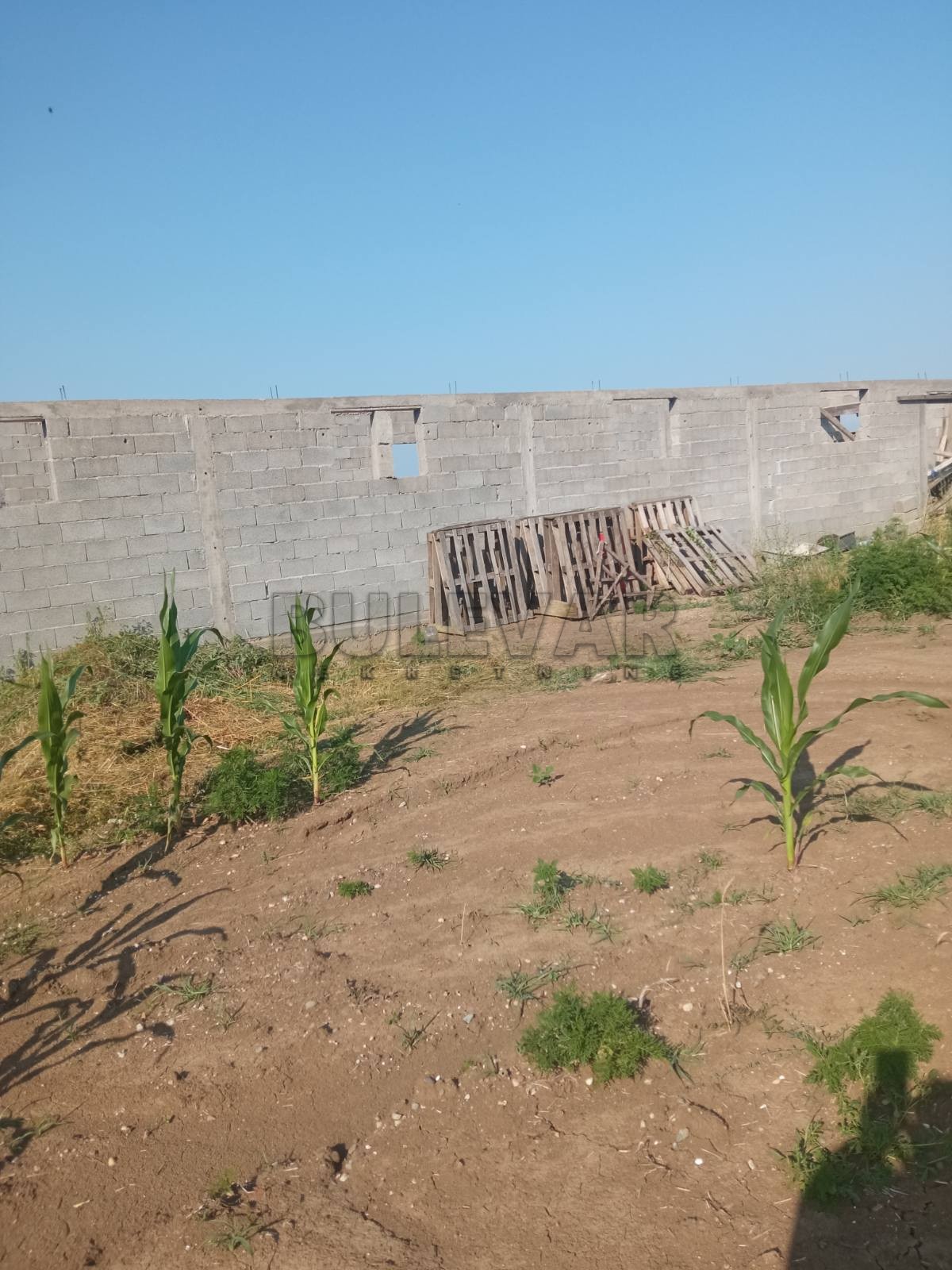 Plac, Šljivovac, Poskurički put ID: p-09179 6