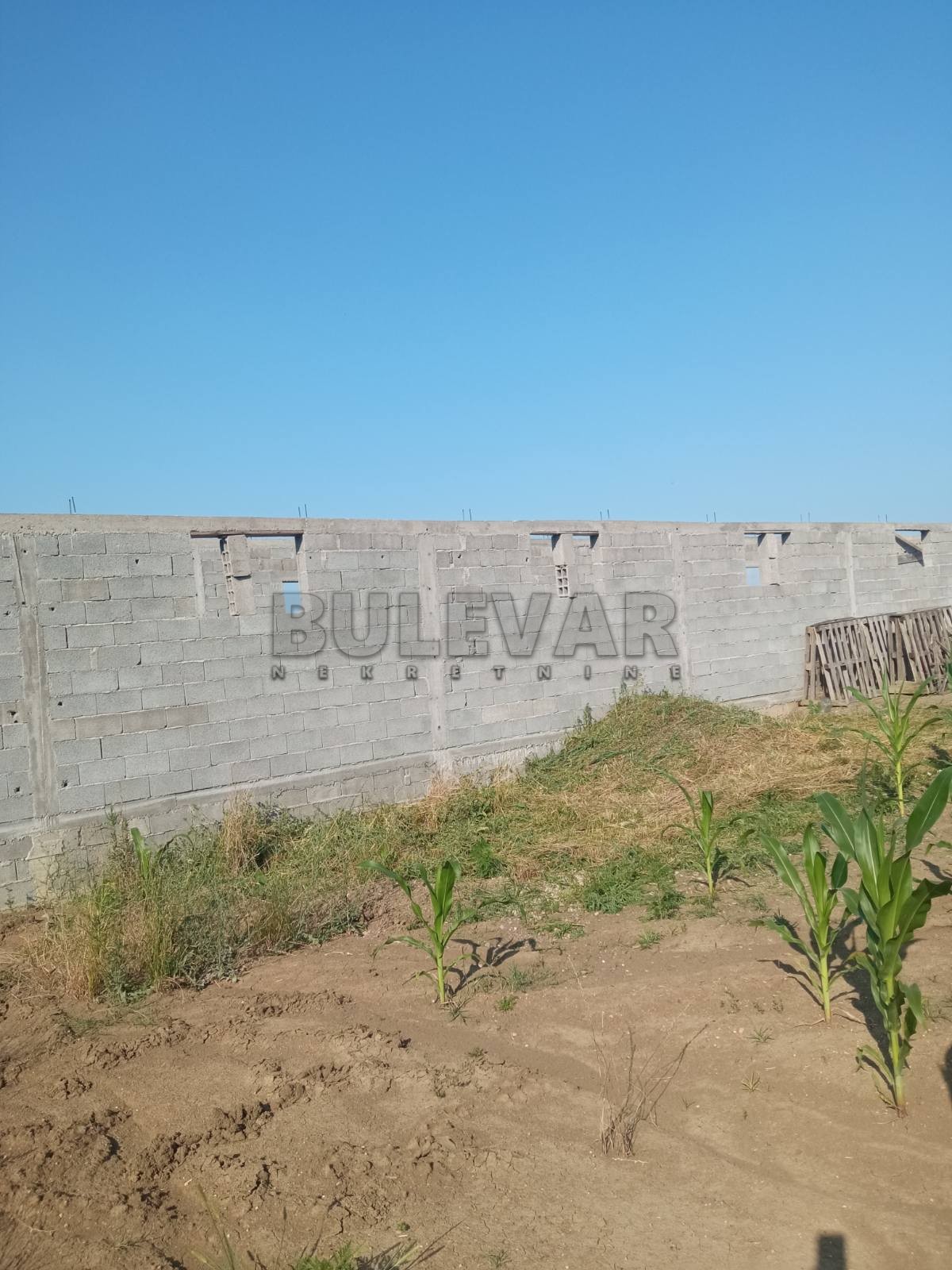 Plac, Šljivovac, Poskurički put ID: p-09179 7