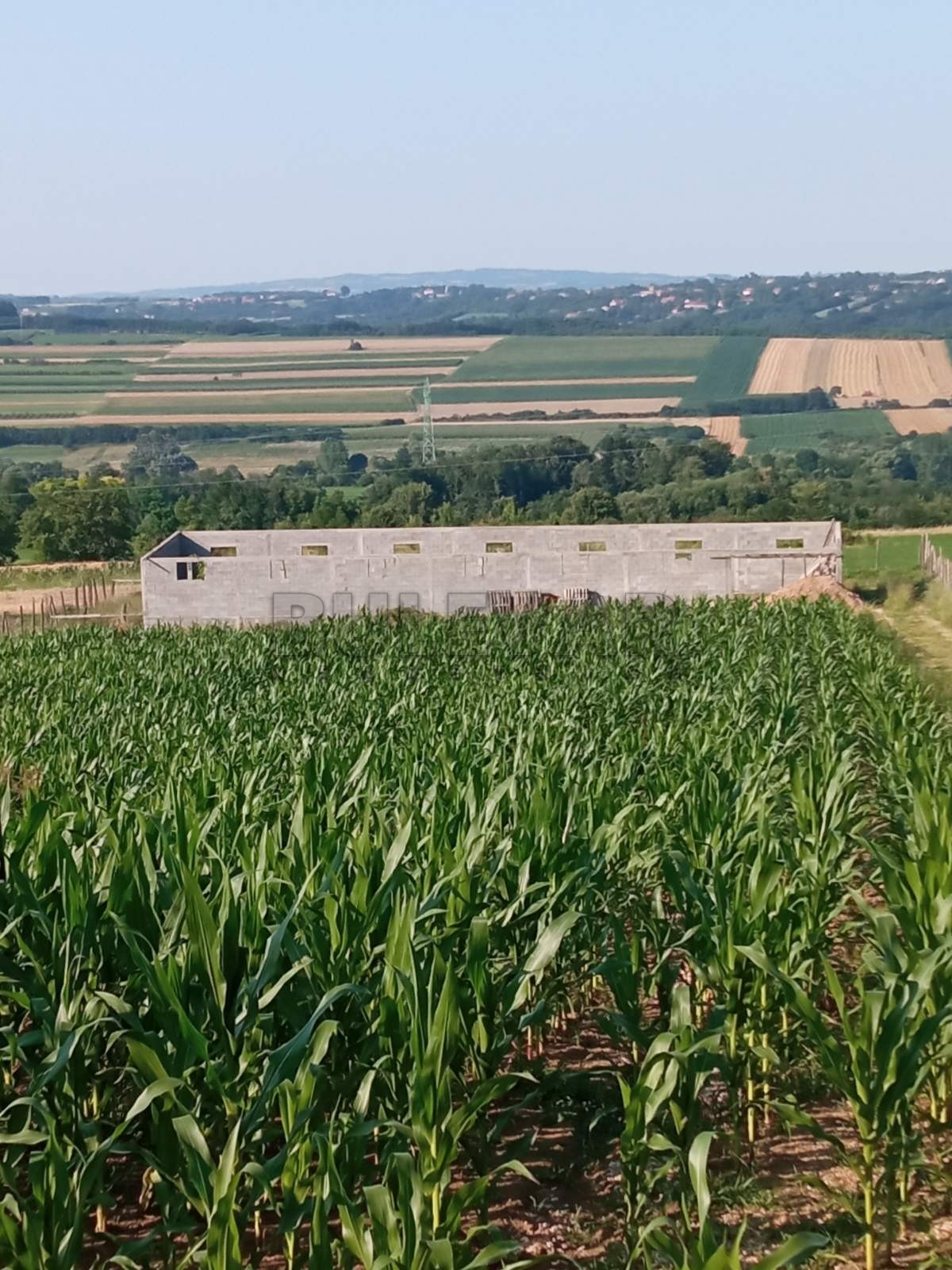 Plac, Šljivovac, Poskurički put ID: p-09179 2