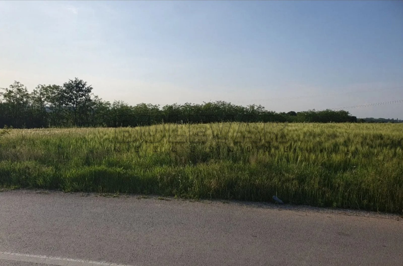 Plac, Velika Moštanica, Šumadijska ID: p-08704 7