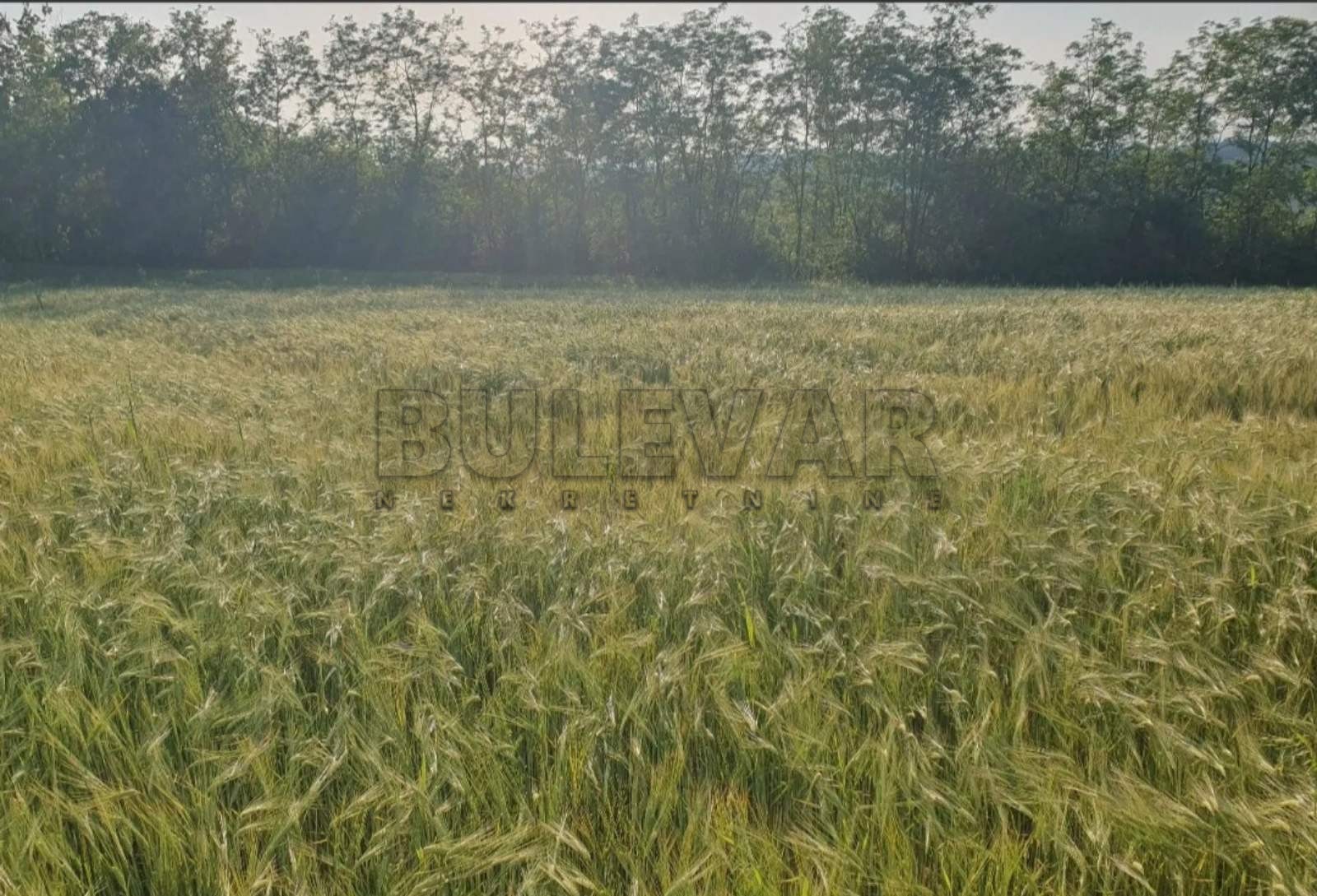 Plac, Velika Moštanica, Šumadijska ID: p-08704 3