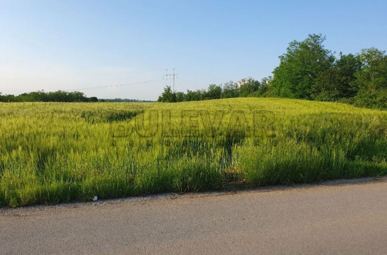 Plac, Velika Moštanica, Šumadijska ID: p-08704 5