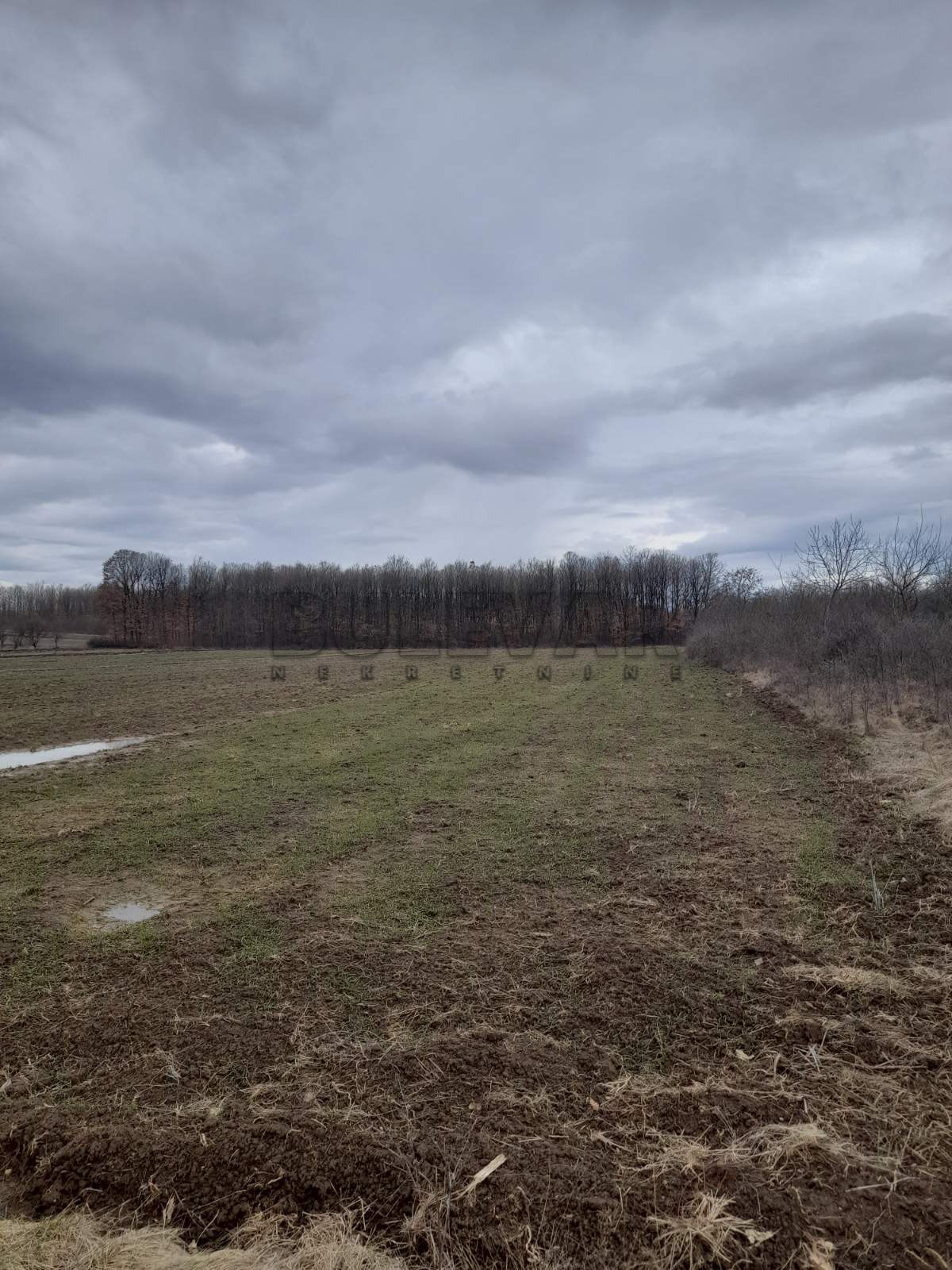 Plac, Vidska ID: p-05104 1