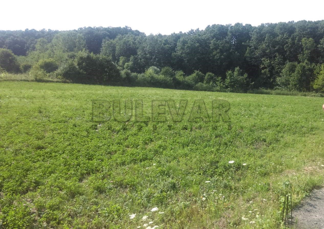 Plac, Žunje, Žunje ID: p-010884 4