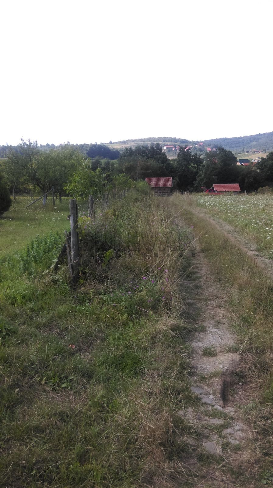 Plac, Žunje, Žunje ID: p-010884 7
