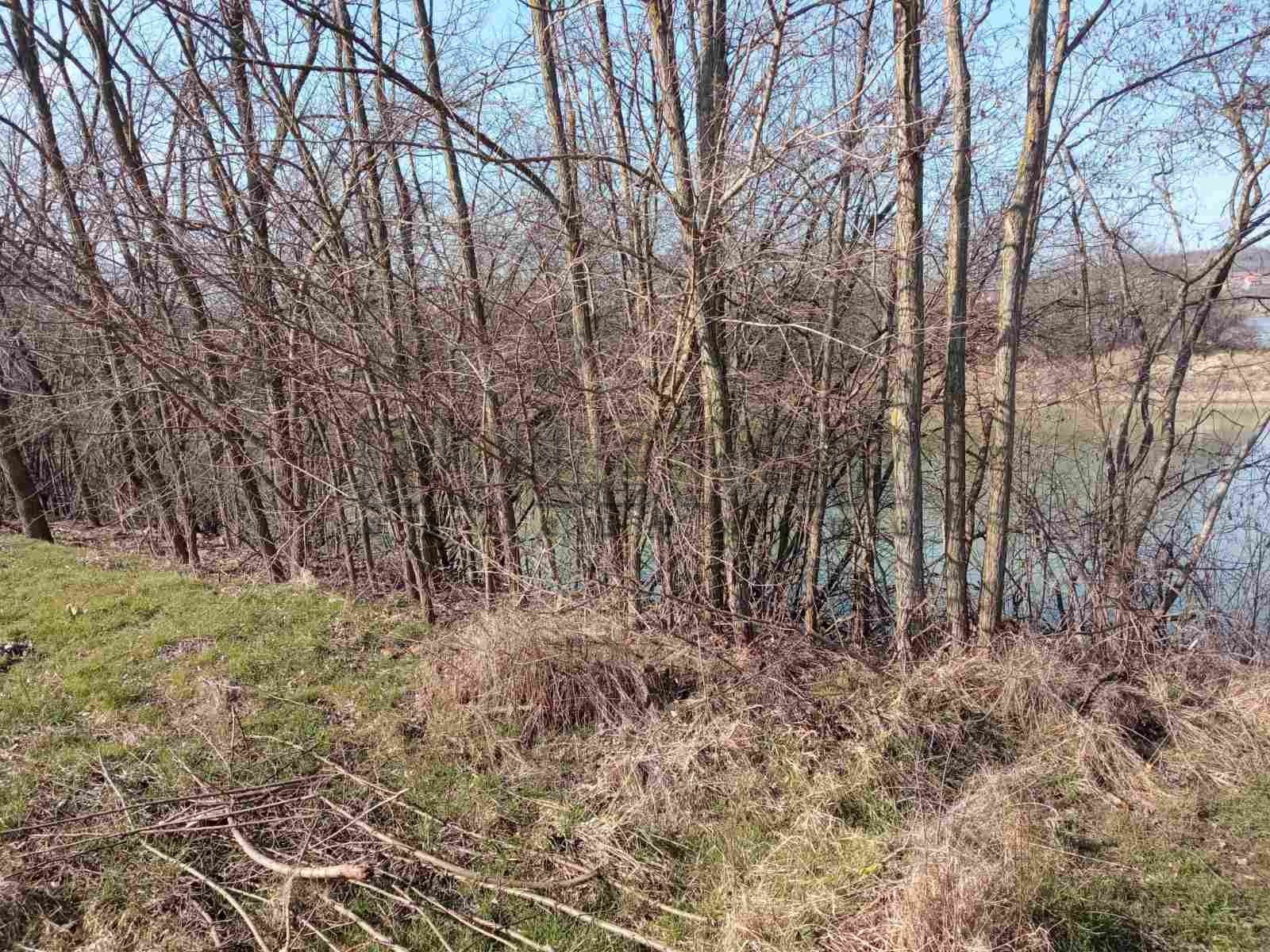 Plac, Žunje, Žunje ID: p-07862 5