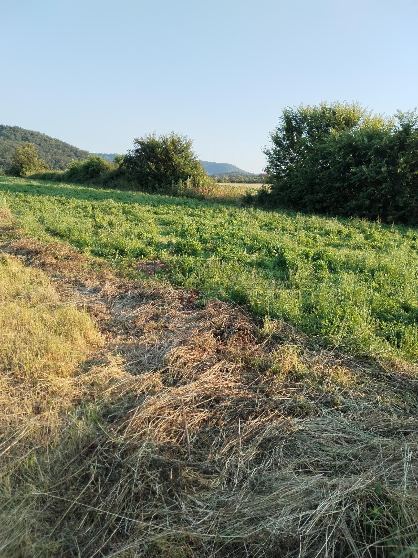 Plac, Žunje, Žunje ID: p-09193 3