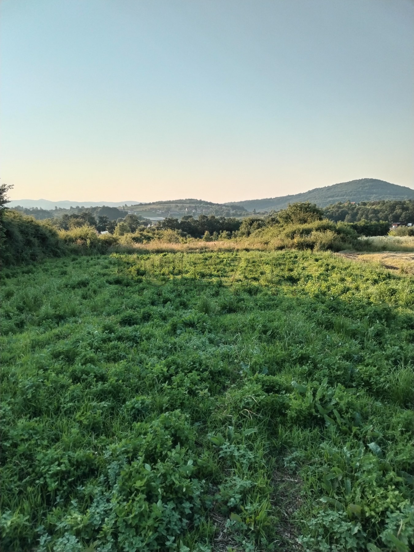 Plac, Žunje, Žunje ID: p-09193 4