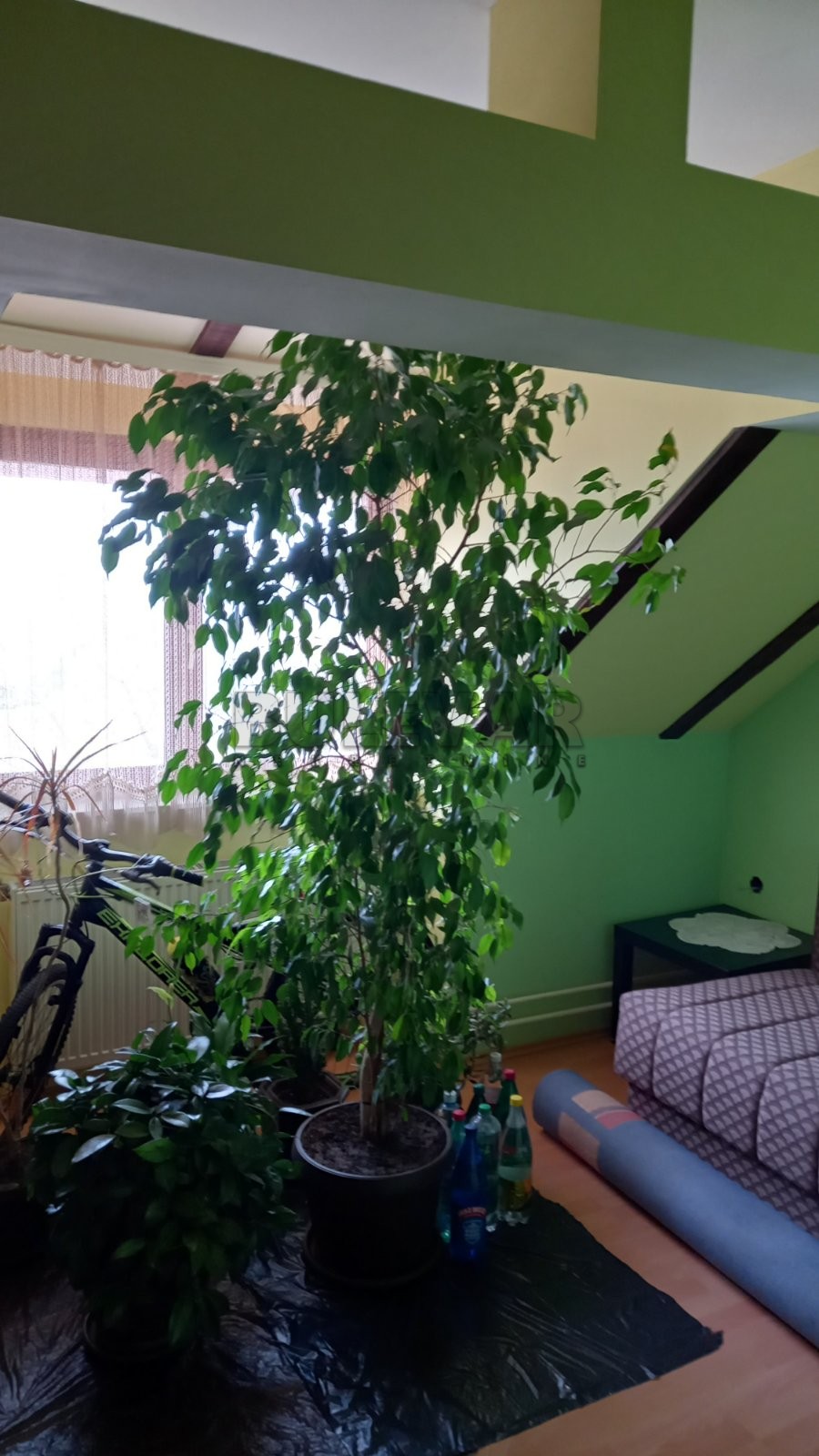 Trosoban stan, 80 m2, Pantelej, Krfska ID: p-07383 7