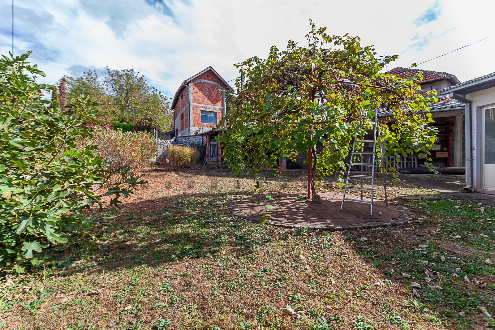 Trosobna kuća, 244 m2, Jelašnica, Železnička ID: p-010011 4