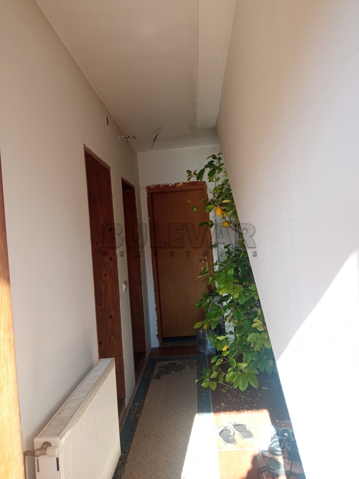 Trosobna kuća, 61 m2, Kragujevac, Dušana Jovanovića ID: p-08069 3