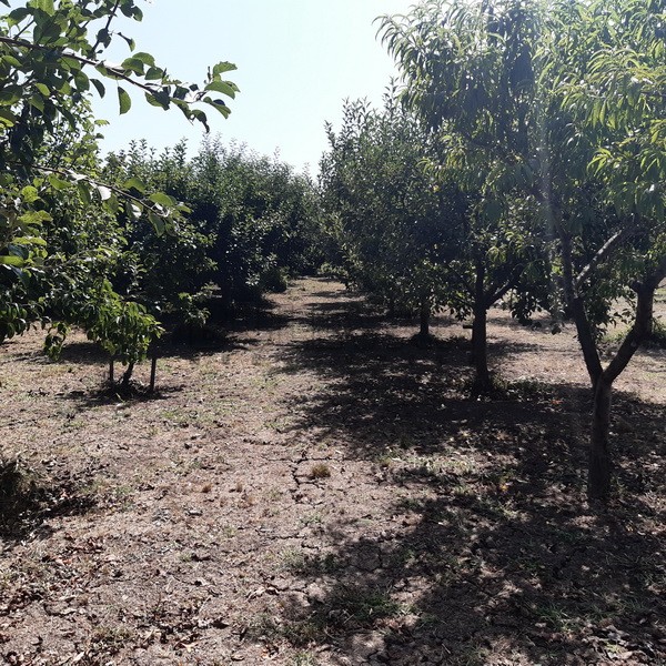 Trosobna kuća, 99 m2, Ćićina, Ćićina ID: p-09252 18