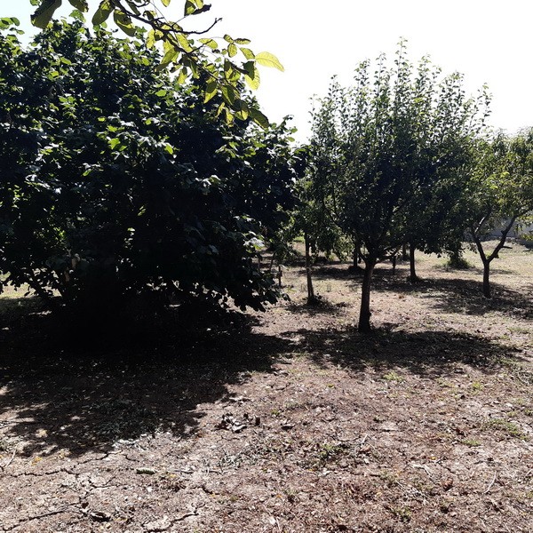 Trosobna kuća, 99 m2, Ćićina, Ćićina ID: p-09252 19