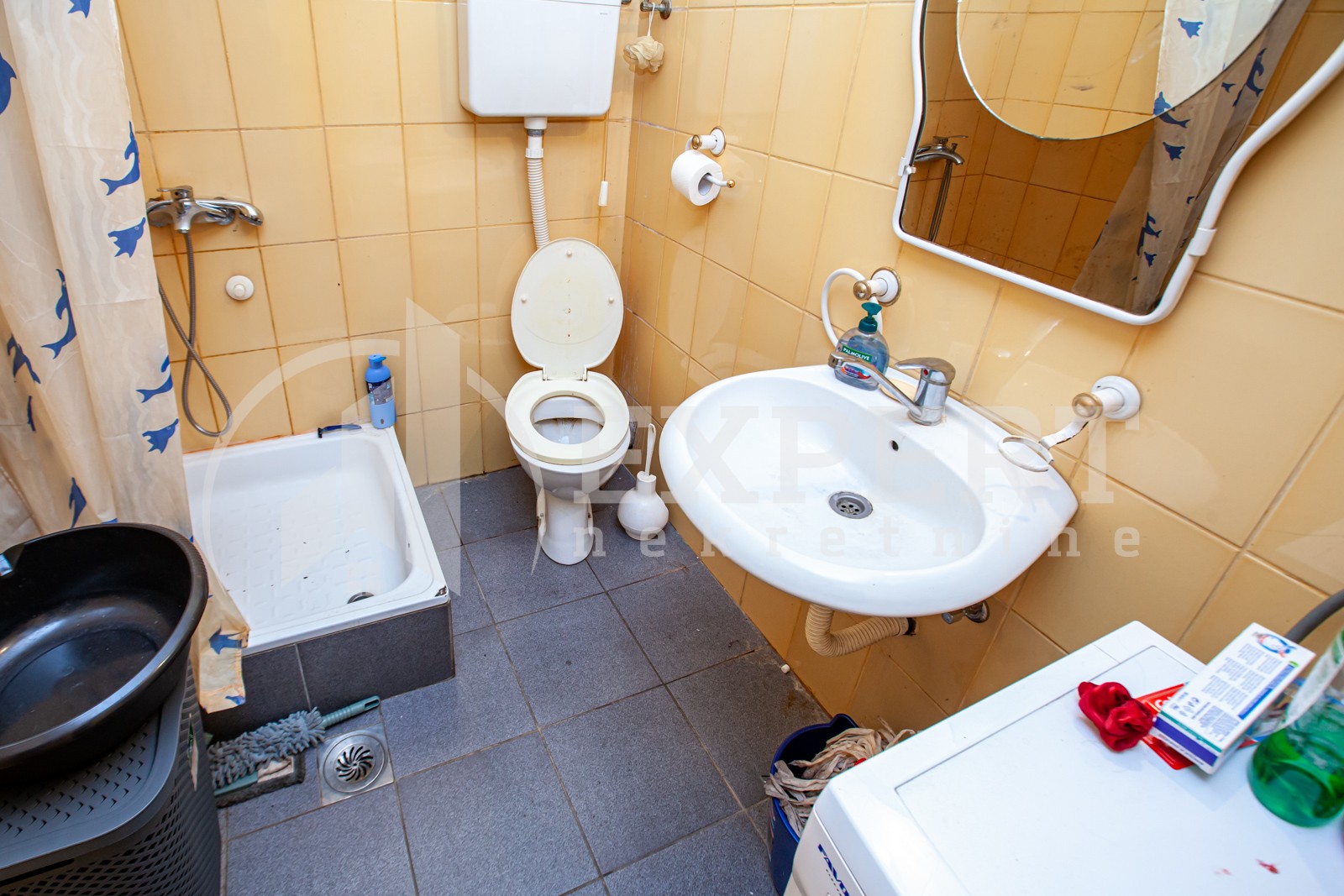 Jednosoban stan, 24 m2, Palilula, Stanoja Bunuševca ID: p-07822 9