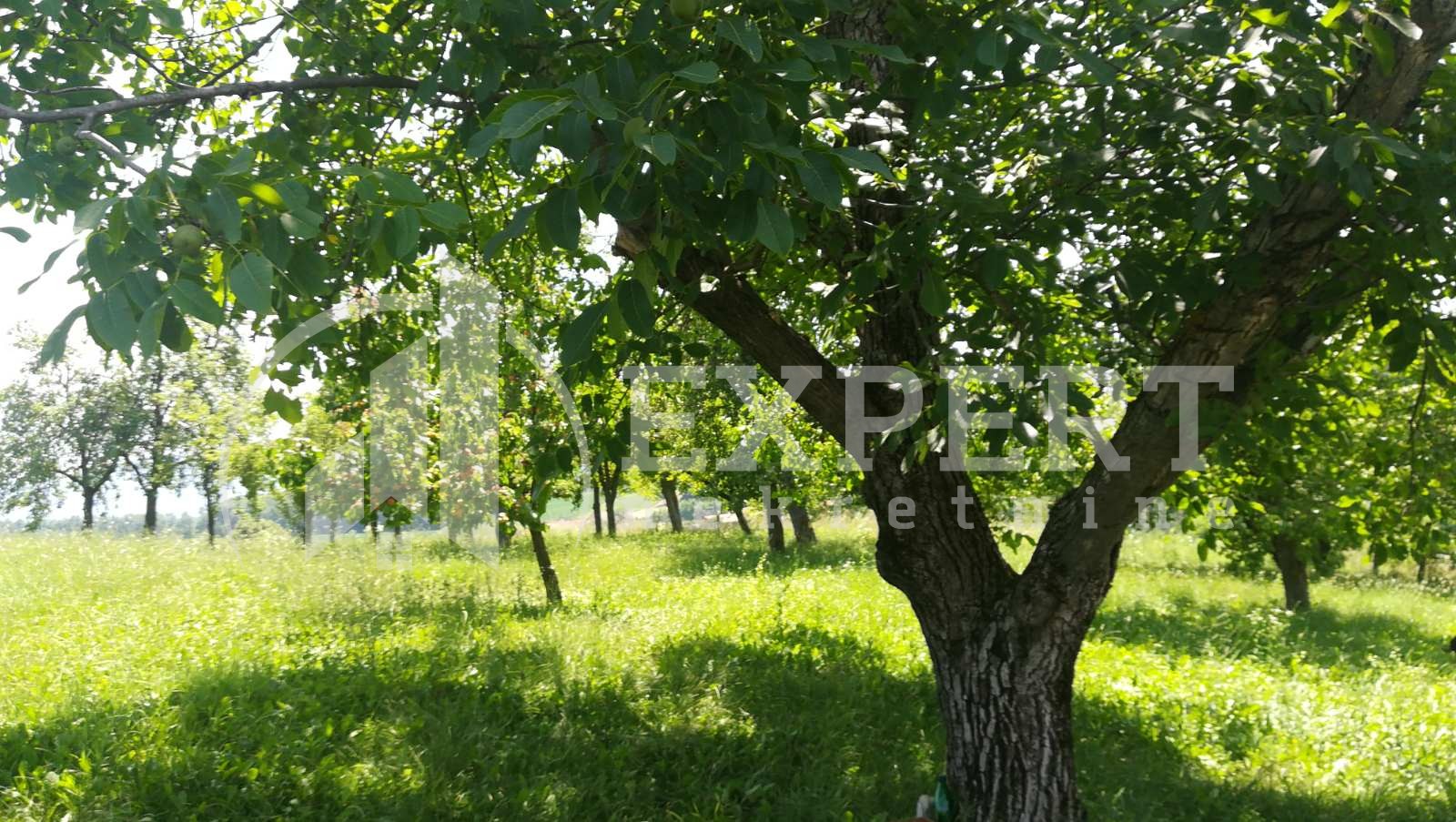 četvorosobna kuća, 140 m2, Stanci, Stanci ID: p-011143 8