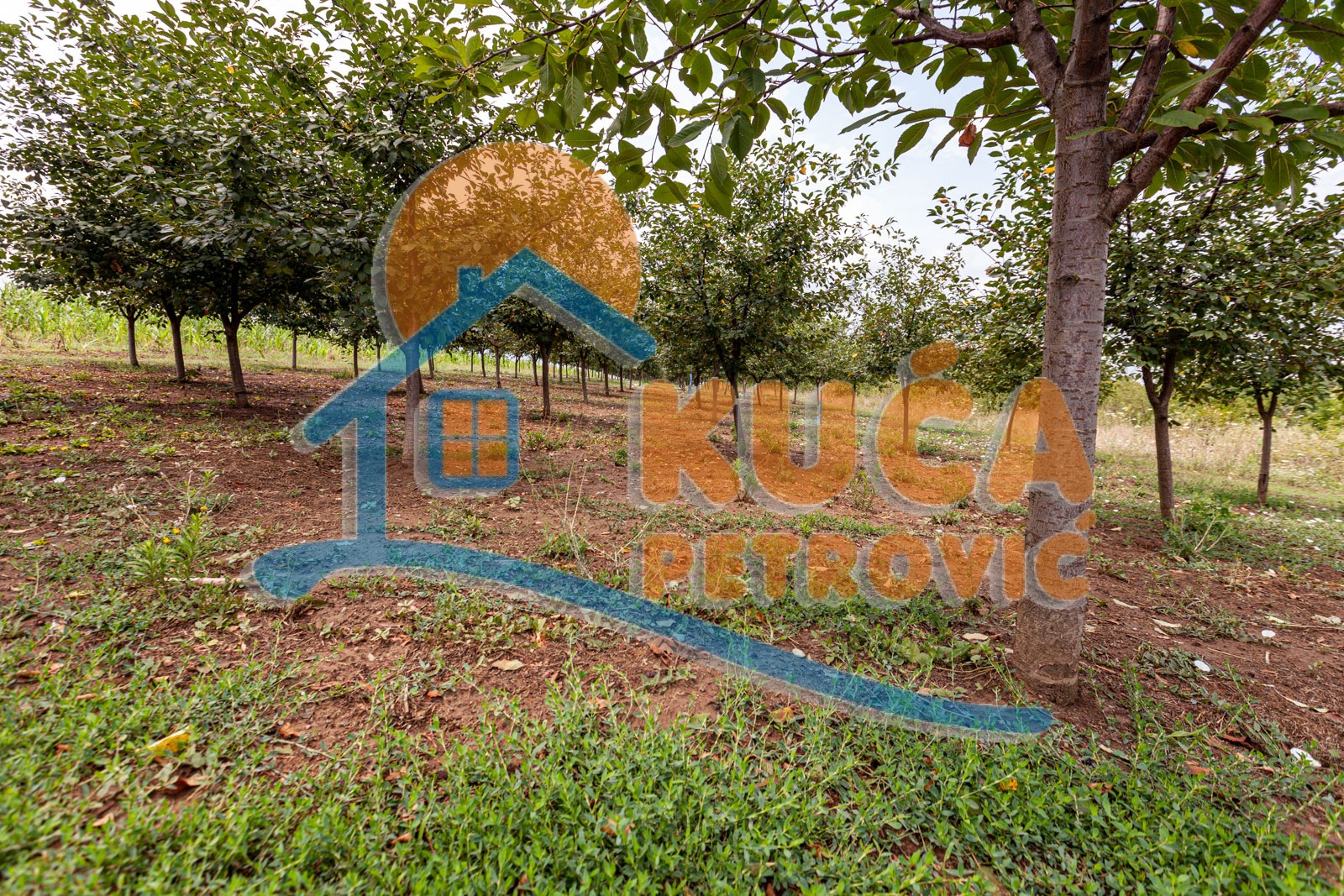 četvorosobna kuća, 146 m2, Mramorsko Brdo ID: p-03786 11