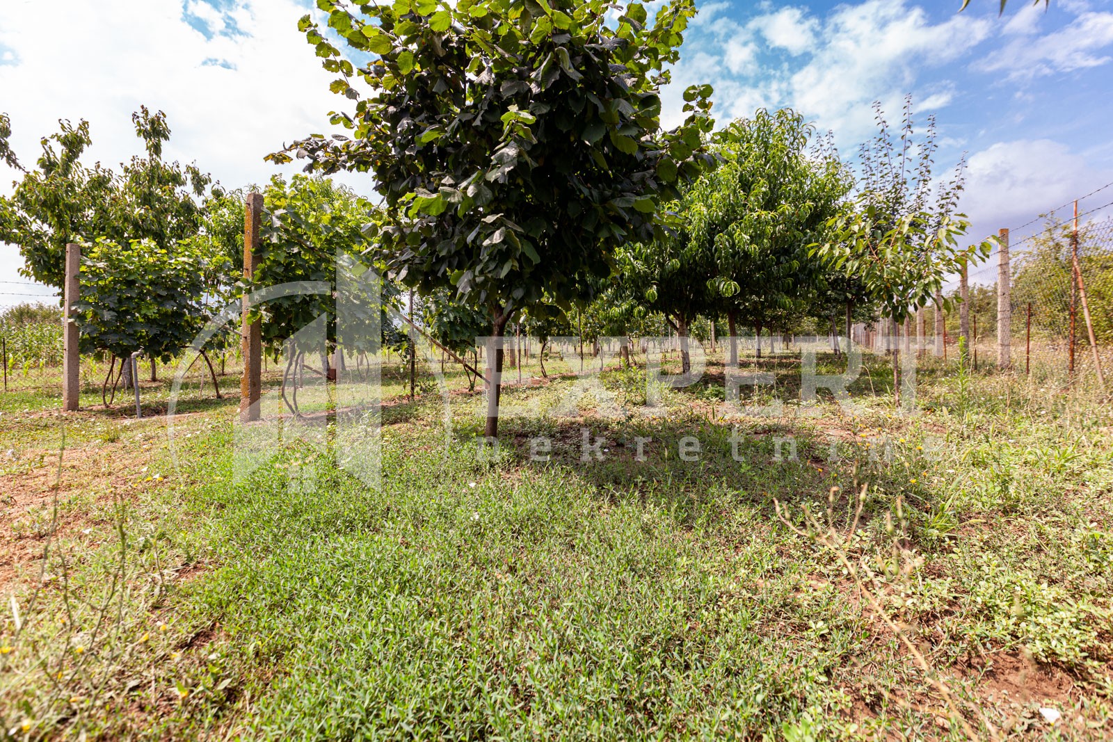 četvorosobna kuća, 146 m2, Mramorsko Brdo ID: p-03786 10