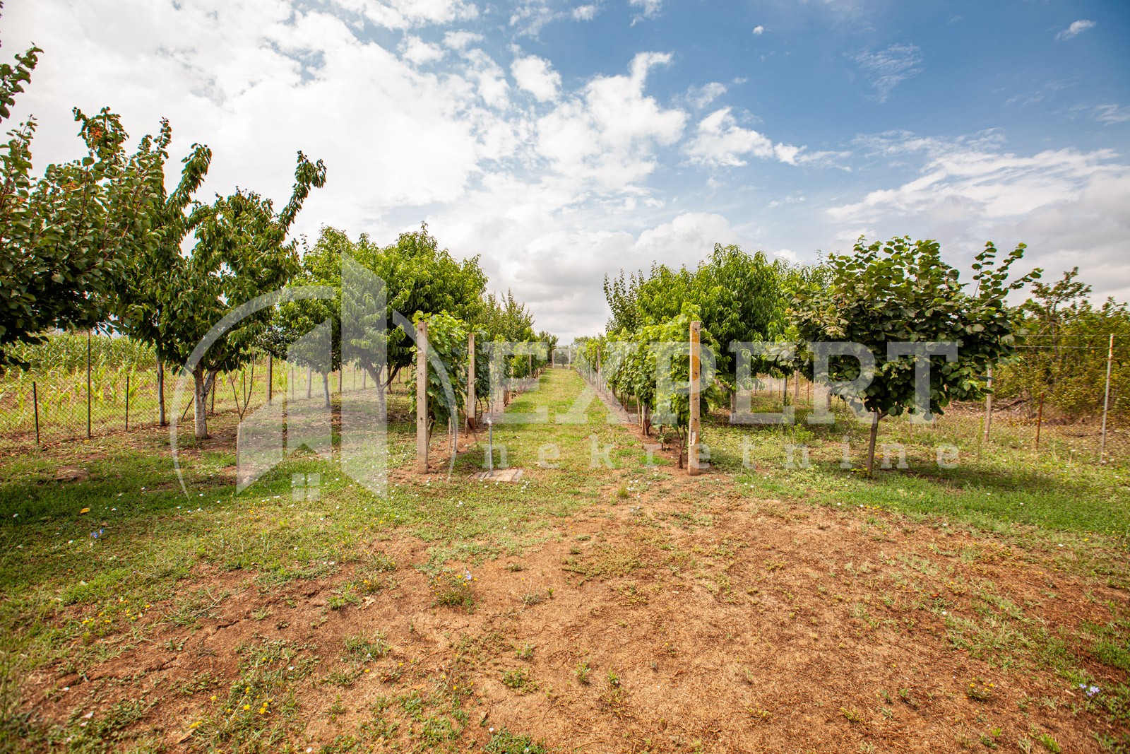 četvorosobna kuća, 146 m2, Mramorsko Brdo ID: p-03786 8