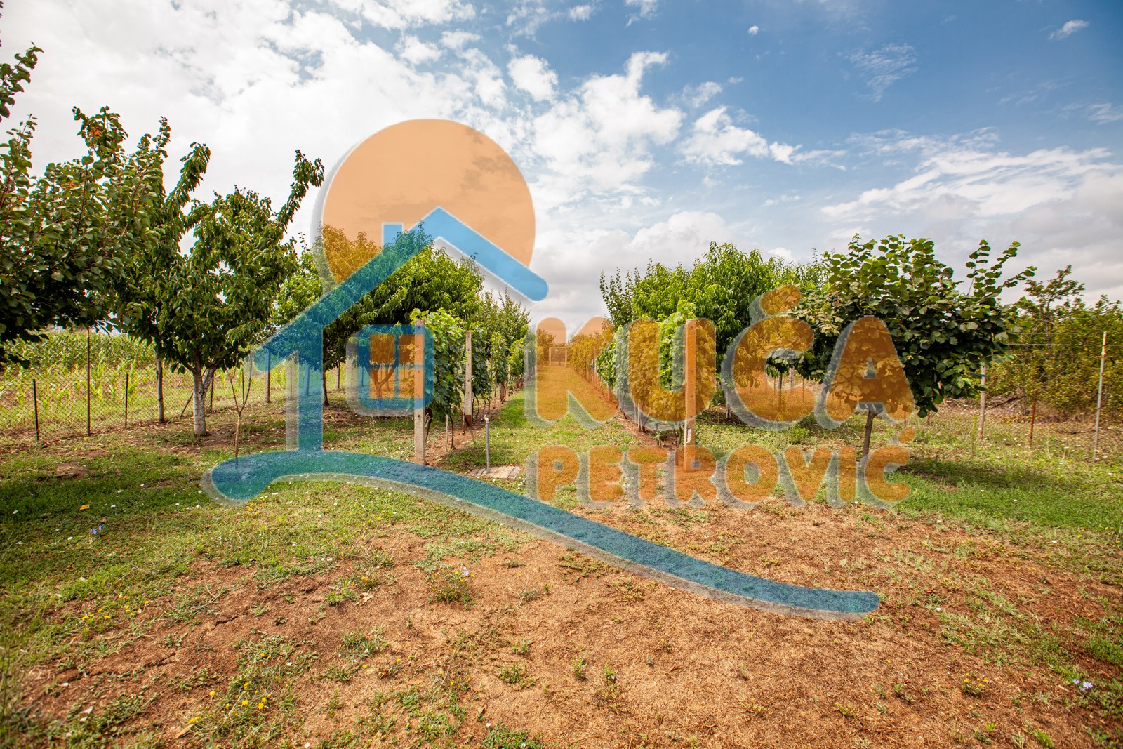 četvorosobna kuća, 146 m2, Mramorsko Brdo ID: p-03786 8