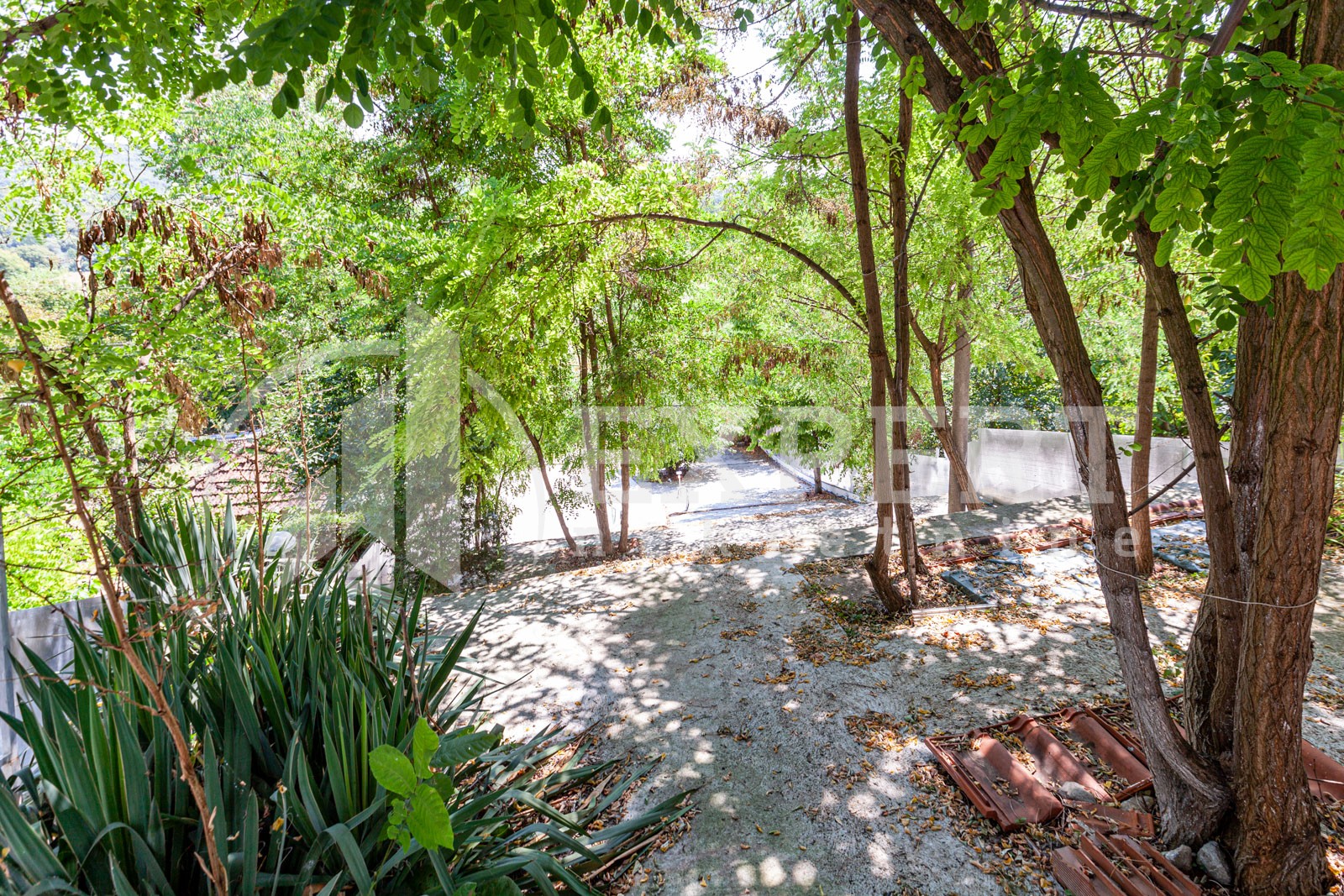 četvorosobna kuća, 170 m2, Crveni krst, Berčinac ID: p-03891 4