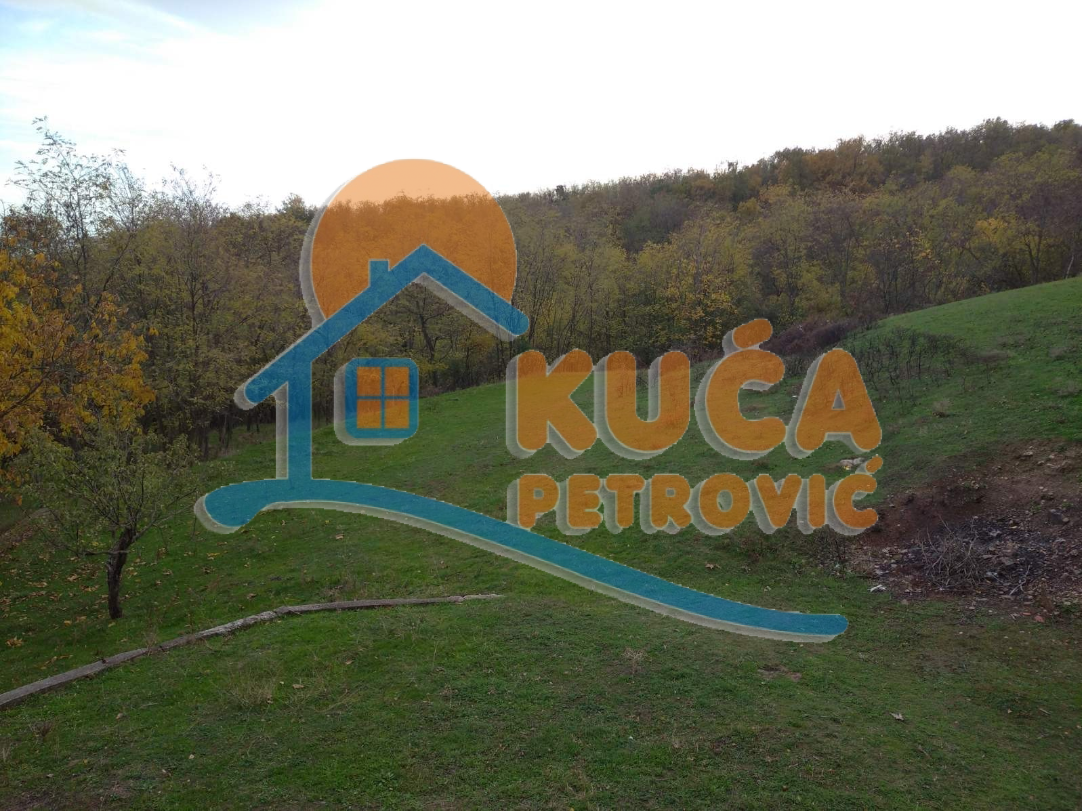 četvorosobna kuća, 176 m2, Supovac, Supovac ID: p-07689 2