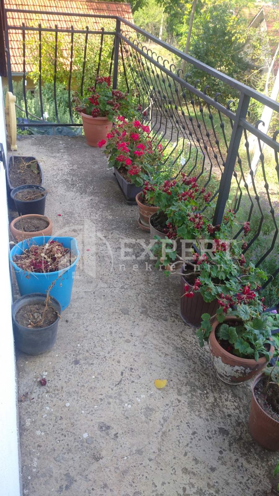 četvorosobna kuća, 183 m2, Ćele kula, Gabrovački put 2. prilaz ID: p-01725 7