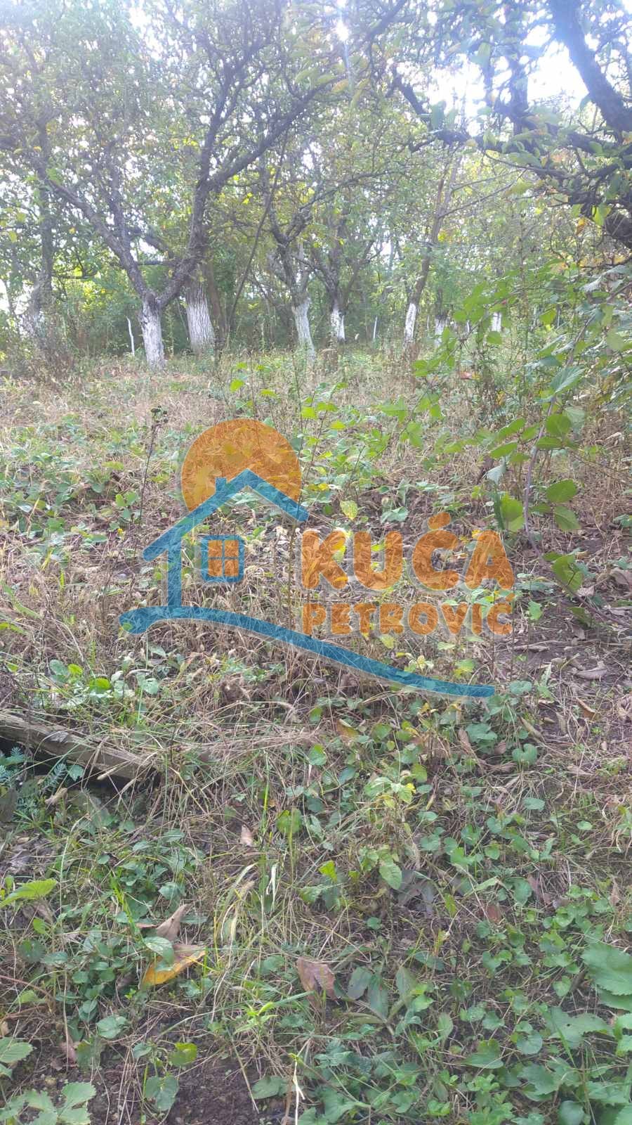 četvorosobna kuća, 183 m2, Ćele kula, Gabrovački put 2. prilaz ID: p-01725 4