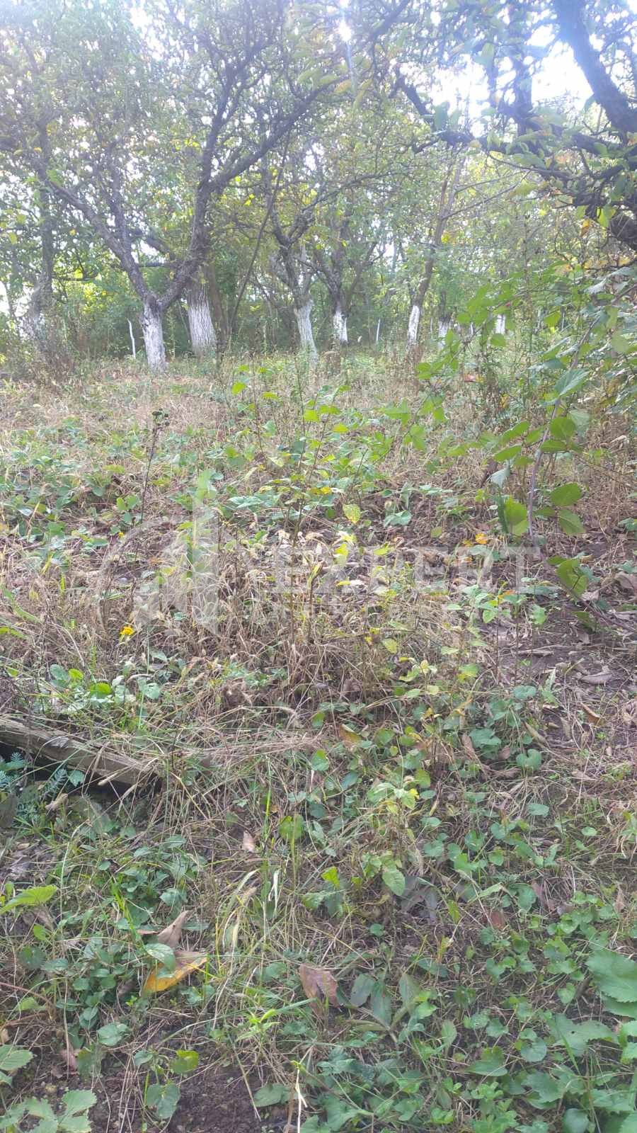 četvorosobna kuća, 183 m2, Ćele kula, Gabrovački put 2. prilaz ID: p-01725 4