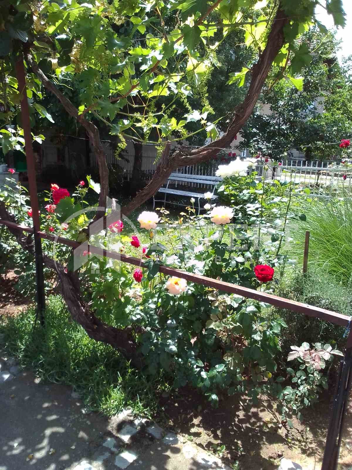 četvorosobna kuća, 248 m2, Niška Banja, Bulevar svetog cara ID: p-06630 20