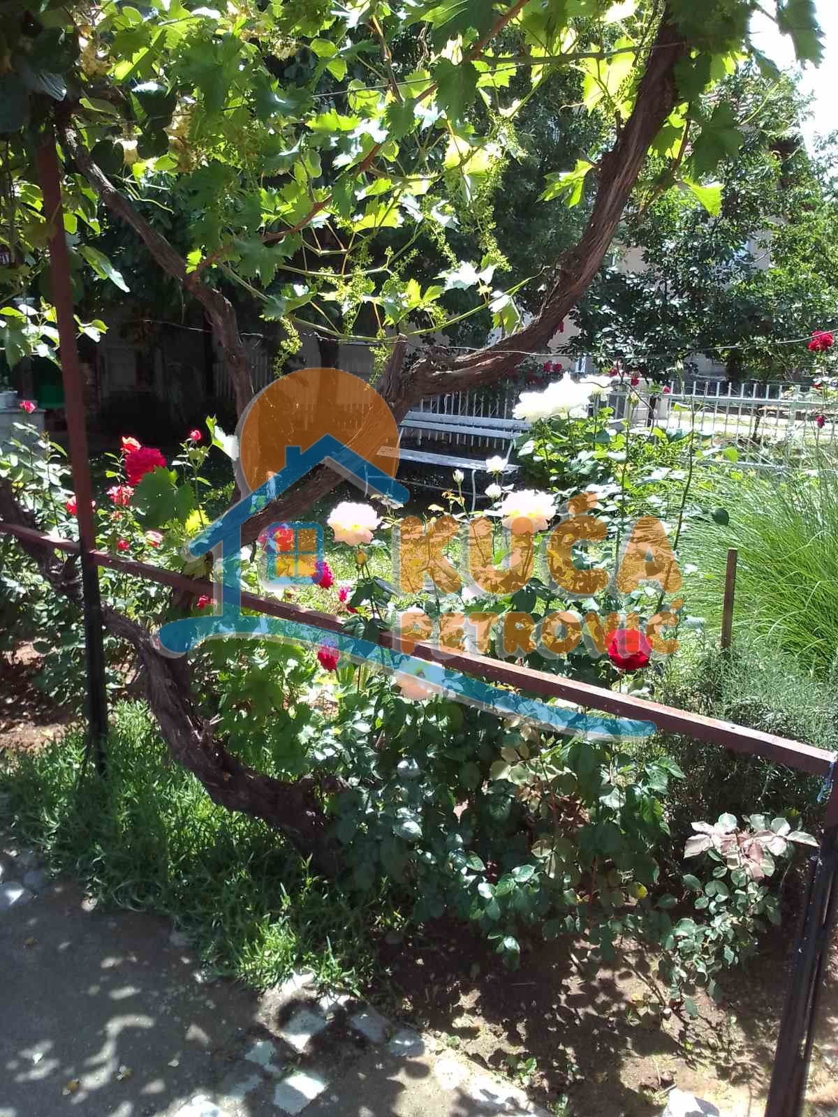 četvorosobna kuća, 248 m2, Niška Banja, Bulevar svetog cara ID: p-06630 20