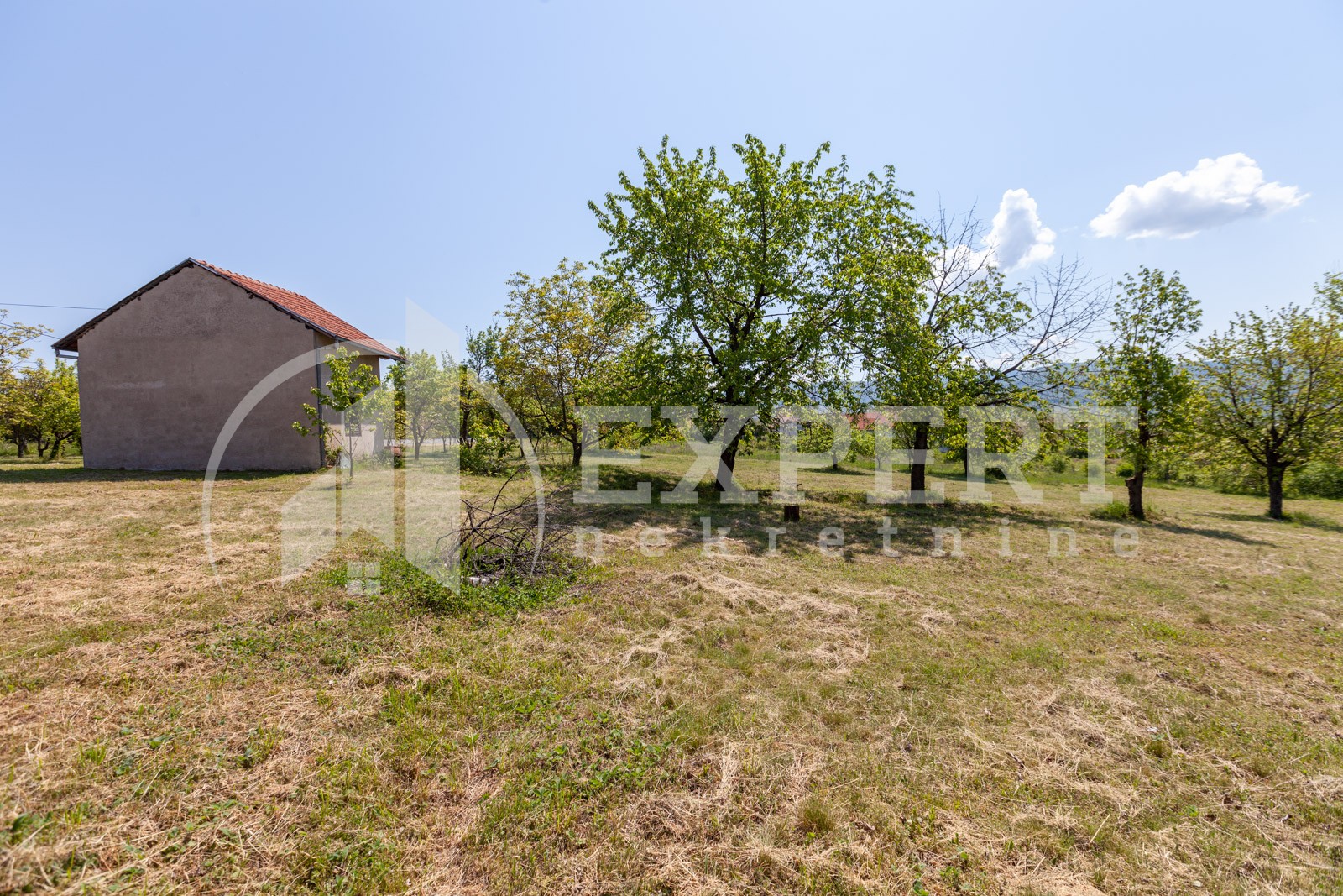 četvorosobna kuća, 250 m2, Palilula, Donje Vlase ID: p-05749 15