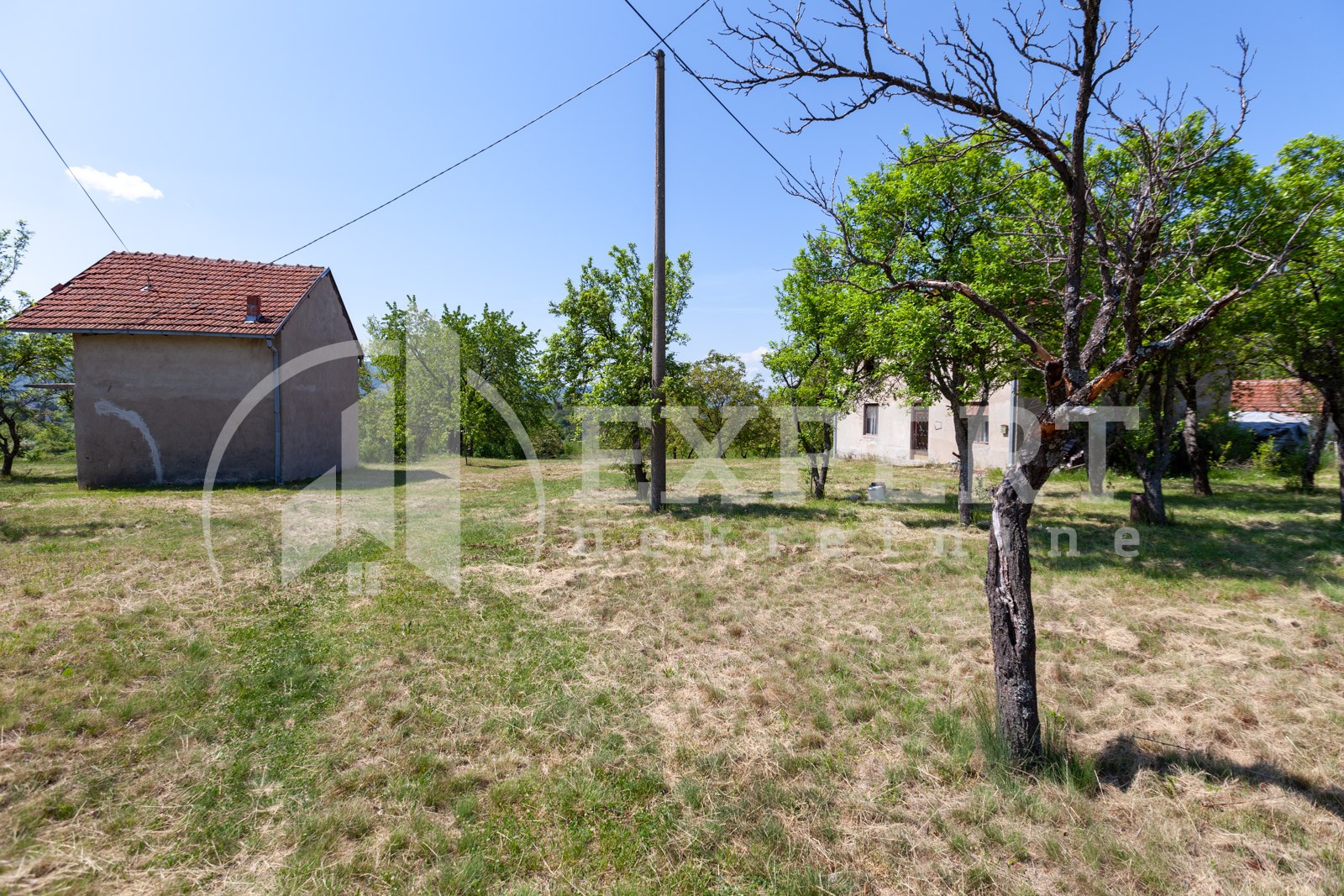 četvorosobna kuća, 250 m2, Palilula, Donje Vlase ID: p-05749 1