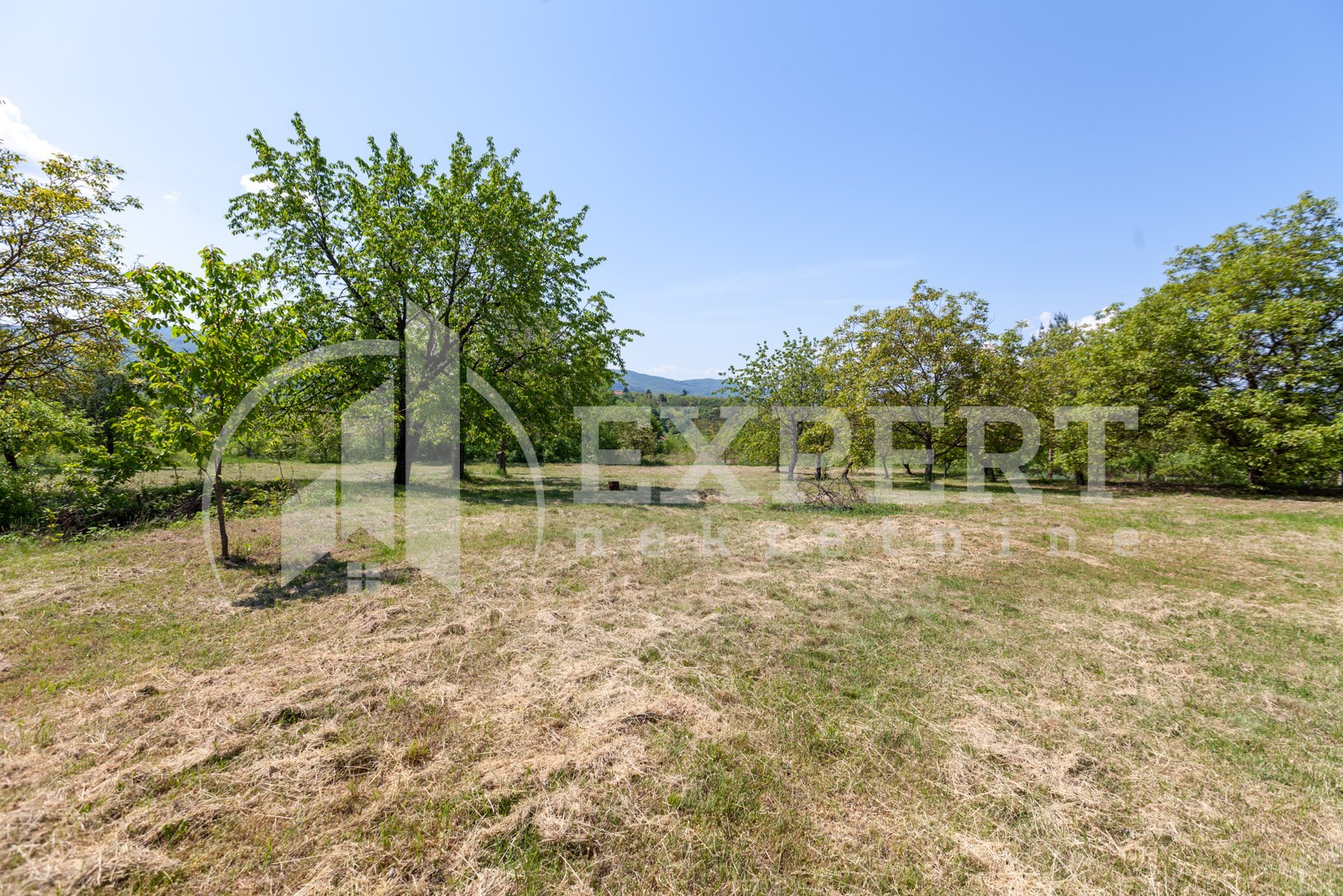 četvorosobna kuća, 250 m2, Palilula, Donje Vlase ID: p-05749 2