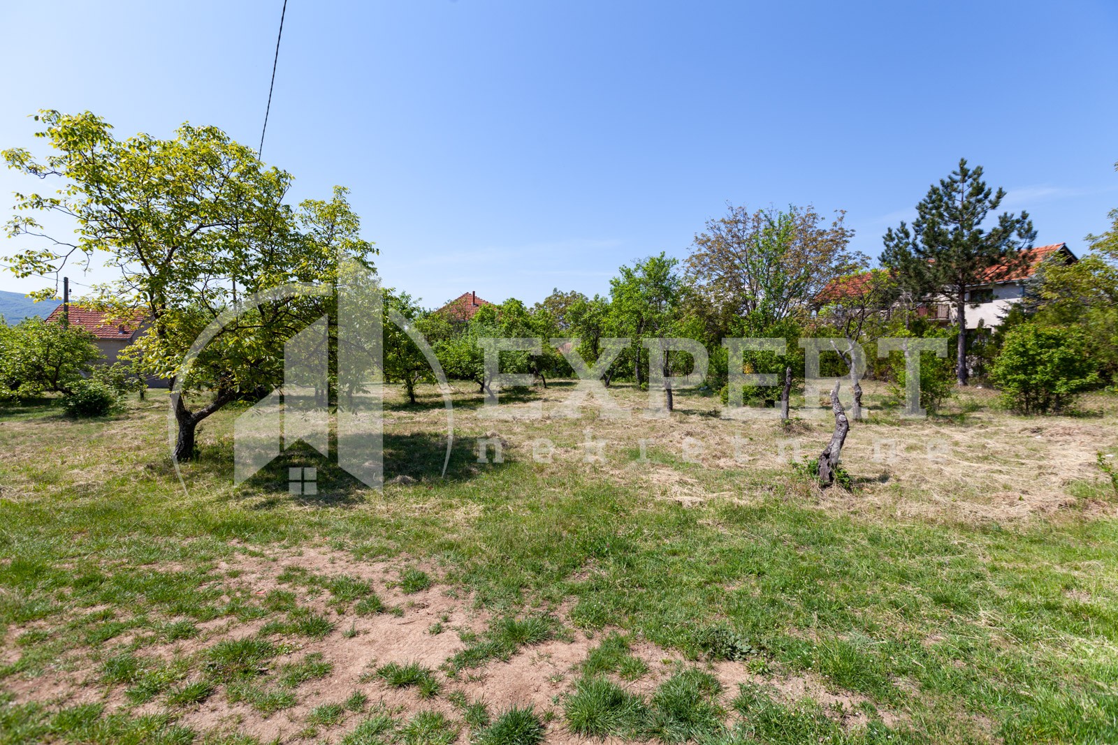 četvorosobna kuća, 250 m2, Palilula, Donje Vlase ID: p-05749 4