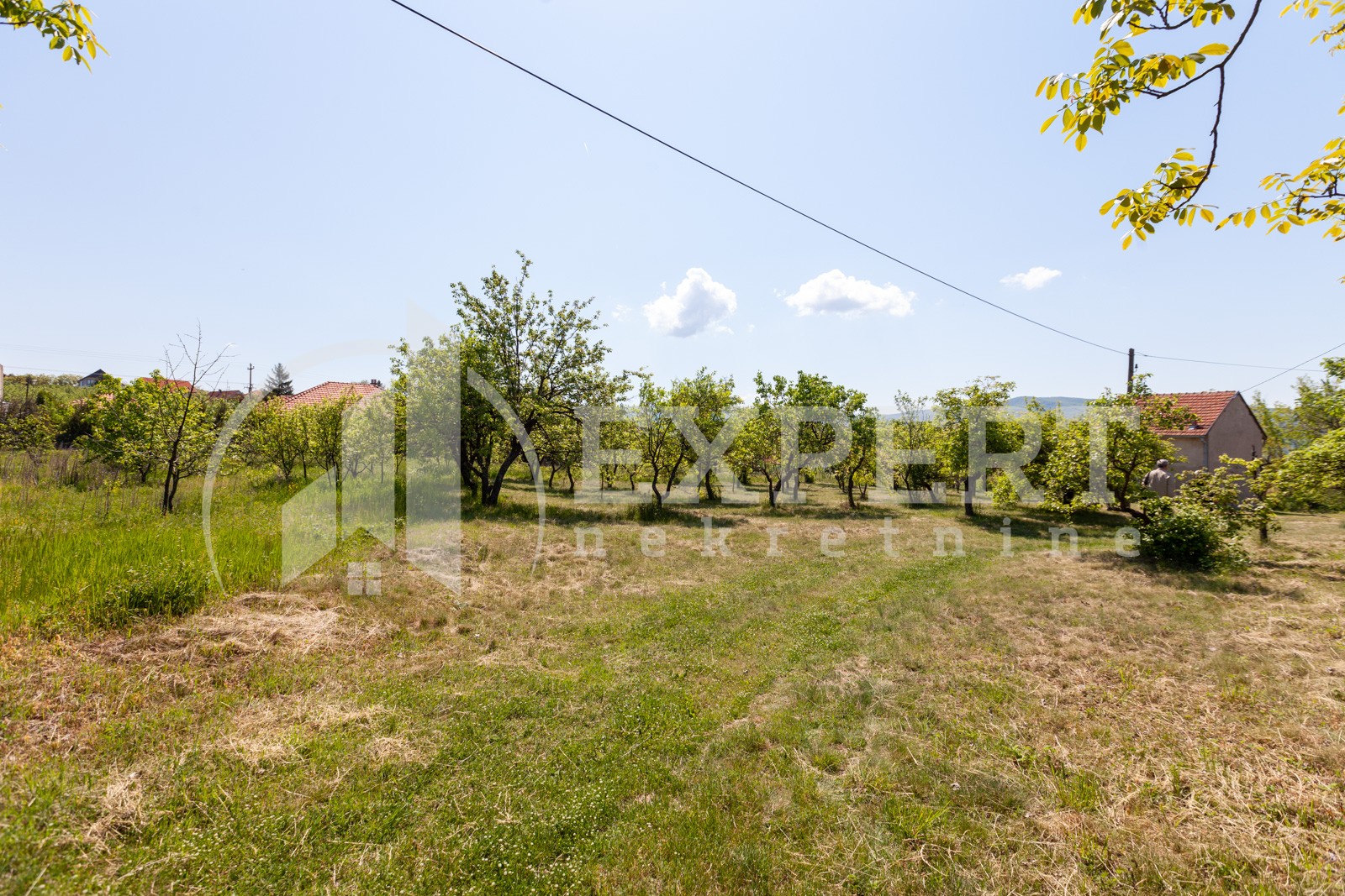 četvorosobna kuća, 250 m2, Palilula, Donje Vlase ID: p-05749 5