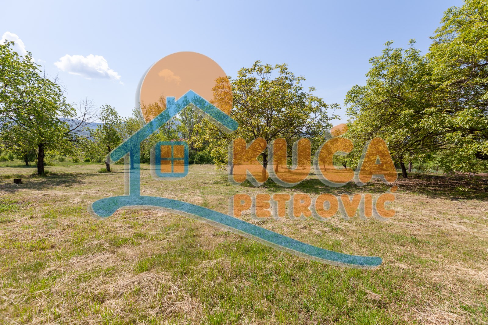 četvorosobna kuća, 250 m2, Palilula, Donje Vlase ID: p-05749 3