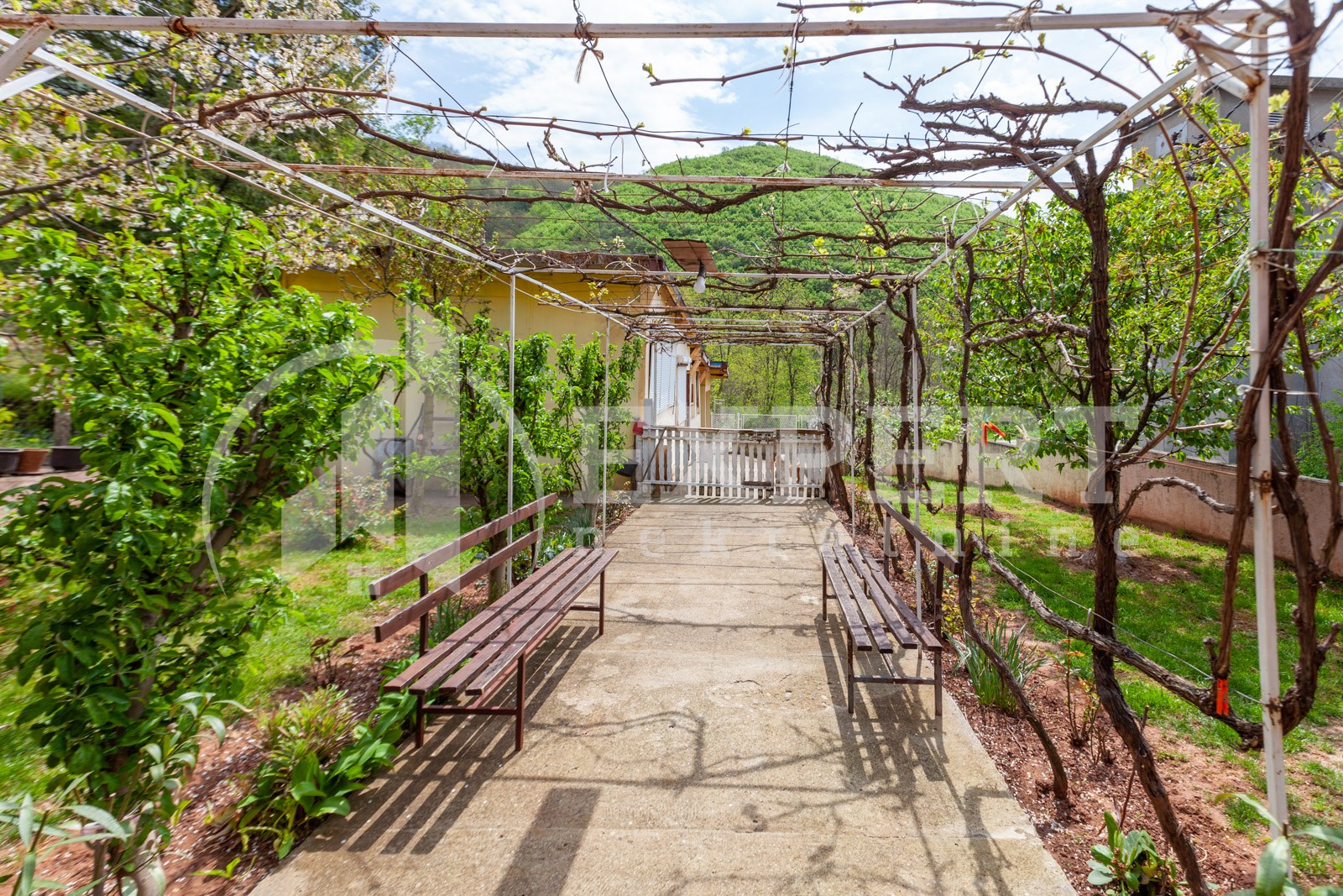 četvorosobna kuća, 250 m2, Sićevo, Sićevo ID: p-08432 3