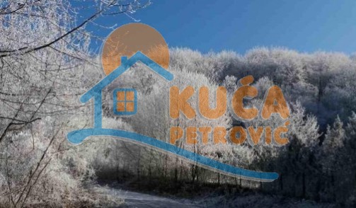 četvorosobna kuća, 260 m2, Gornja Studena, Niška Banja ID: p-09775 8