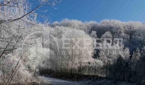 četvorosobna kuća, 260 m2, Gornja Studena, Niška Banja ID: p-09775 8