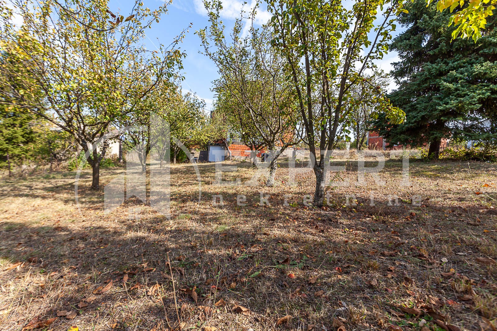 četvorosobna kuća, 270 m2, Palilula, Donjovlaška prilaz 3 ID: p-09847 10